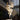 Flying Flowers Fluttering Chandelier - LUUGAA
