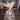 Ginkgo Chandelier E - LUUGAA