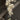 Ginkgo Chandelier Type Q - LUUGAA