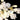 Gold White Leaves Combination Ginkgo Chandeliers - LUUGAA
