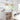 Golden Aura Modern Crystal Drum Chandelier - LUUGAA