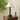 Isabella Grace Table Lamp - LUUGAA