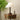 Isabella Grace Table Lamp - LUUGAA