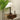 Isabella Grace Table Lamp - LUUGAA