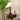 Isabella Grace Table Lamp - LUUGAA
