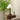 Isabella Grace Table Lamp - LUUGAA