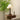 Isabella Grace Table Lamp - LUUGAA