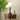 Isabella Grace Table Lamp - LUUGAA