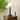 Isabella Grace Table Lamp - LUUGAA