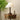 Isabella Grace Table Lamp - LUUGAA