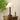 Isabella Grace Table Lamp - LUUGAA