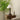 Isabella Grace Table Lamp - LUUGAA