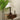 Isabella Grace Table Lamp - LUUGAA