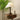 Isabella Grace Table Lamp - LUUGAA