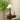 Isabella Grace Table Lamp - LUUGAA