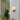 Journey Wall Lamp - LUUGAA