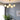 Karrington Chandeliers - LUUGAA