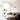 Long Arm Wall Lamp - LUUGAA