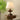Lucas Luminary Table Lamp - LUUGAA