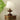 Lucas Luminary Table Lamp - LUUGAA