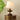 Lucas Luminary Table Lamp - LUUGAA