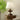 Lucas Luminary Table Lamp - LUUGAA