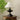 Lucas Luminary Table Lamp - LUUGAA