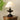 Lucas Luminary Table Lamp - LUUGAA