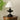 Lucas Luminary Table Lamp - LUUGAA
