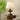 Lucas Luminary Table Lamp - LUUGAA