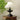 Lucas Luminary Table Lamp - LUUGAA