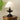 Lucas Luminary Table Lamp - LUUGAA
