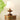 Lucas Luminary Table Lamp - LUUGAA