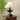 Lucas Luminary Table Lamp - LUUGAA