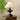 Lucas Luminary Table Lamp - LUUGAA