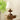 Lucas Luminary Table Lamp - LUUGAA