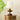 Lucas Luminary Table Lamp - LUUGAA