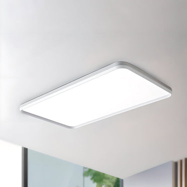 Lumiere Eye - Caring Slim Ceiling Light - LUUGAA