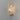 Luxe Glass Wall Light - LUUGAA