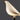 Magpie Perch Floor Lamp - LUUGAA