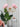 Marshmallow Chandelier - LUUGAA