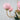 Marshmallow Chandelier - LUUGAA
