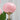 Marshmallow Chandelier - LUUGAA