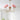 Marshmallow Chandelier - LUUGAA