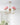 Marshmallow Chandelier - LUUGAA