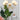 Marshmallow Chandelier - LUUGAA
