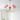 Marshmallow Chandelier - LUUGAA