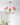 Marshmallow Chandelier - LUUGAA