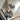 Metallic Meshwork Pendant Lamp - LUUGAA
