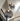 Metallic Meshwork Pendant Lamp - LUUGAA